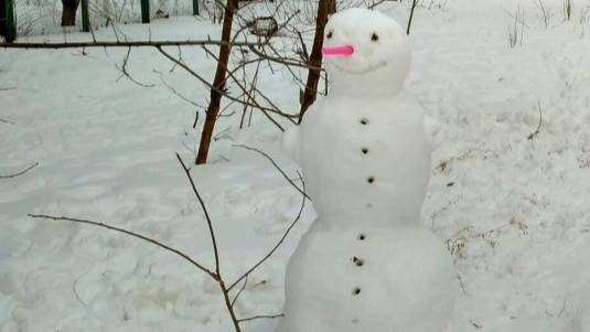 Думы снеговика