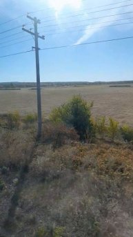 1000029755.mp4попутчик.17.03.2025г.