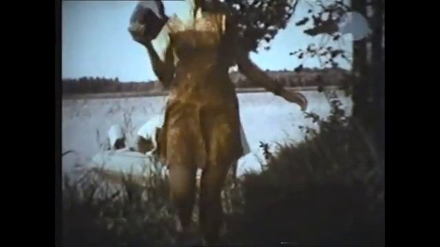 Поведение антропоидов в природных условиях