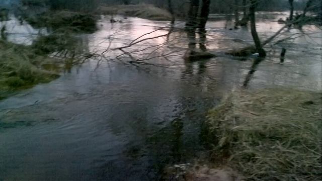 разлив Днепра 09.04.2023 год