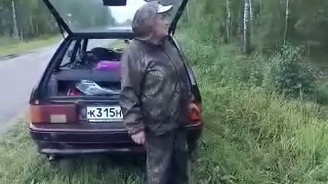 Опять грибы, калина, слива...