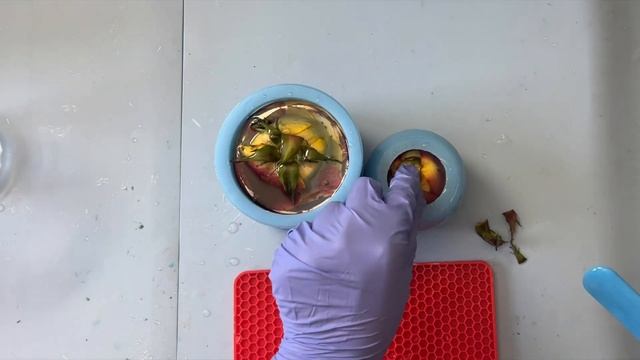 Preserving Real Flowers in Resin Tutorial - Roses in a sphere