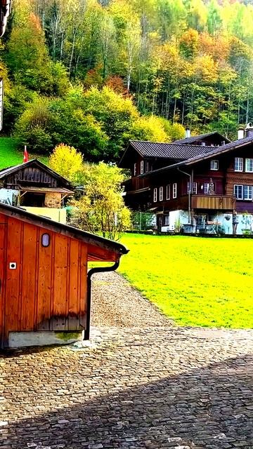 Мгновения, которые стоит пережить