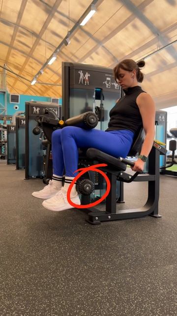 Сгибание ног сидя настройка
