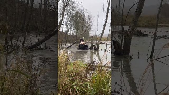 Грязевые гонки на квадроциклах, Тверь