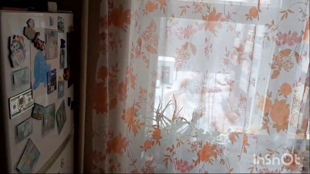 ещё один день из жизни волнистого попугая. нахулиганил и купаться.
