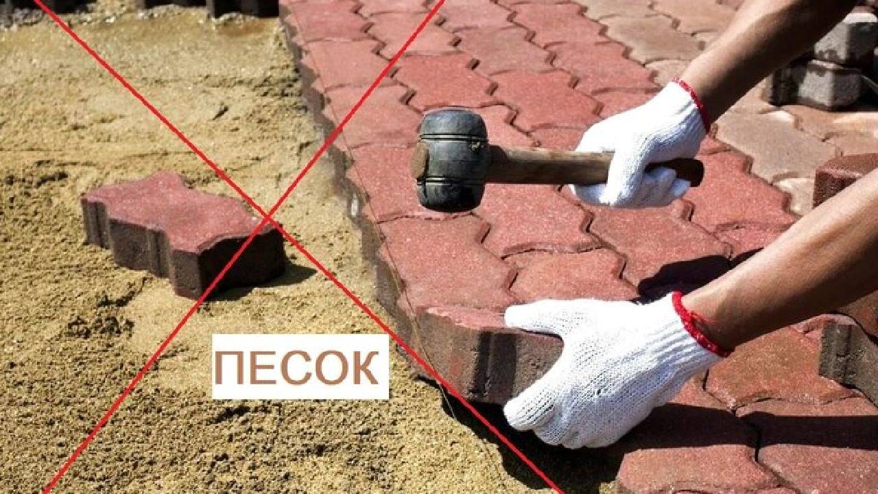 Сегодня в рубрике,