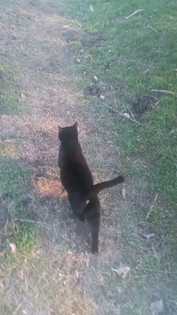 VID_20250310_171320
