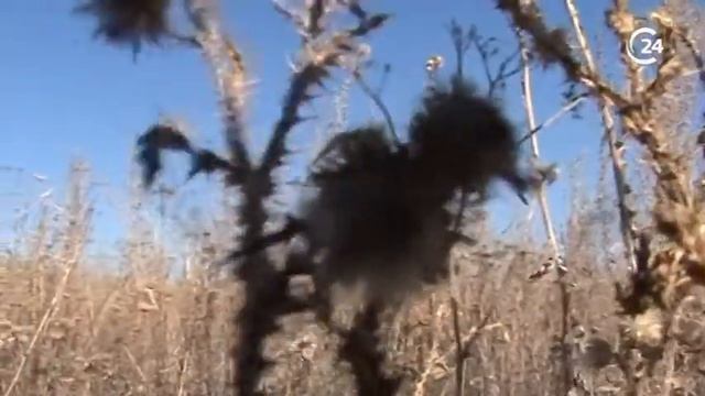 Аграрии ждут вступления в силу Закона об использовании земель сельхозназначения