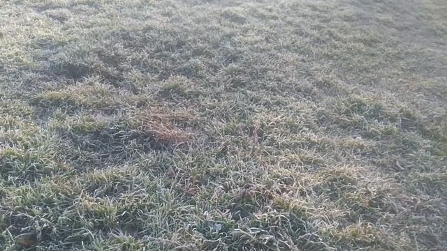VID_2025.03.08_08.22.09