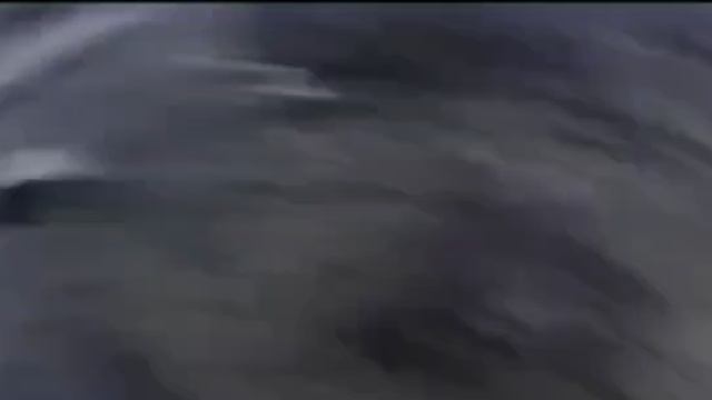 Поражение вражеского FPV дрона российским штурмовиком