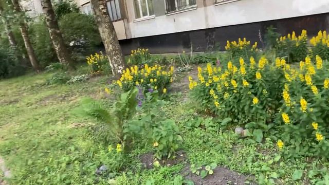 Всех милых и прекрасных дам с Международным женским днём 8 Марта поздравляю!!! 8.03.2024