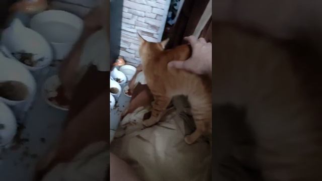 1000004403.mp4