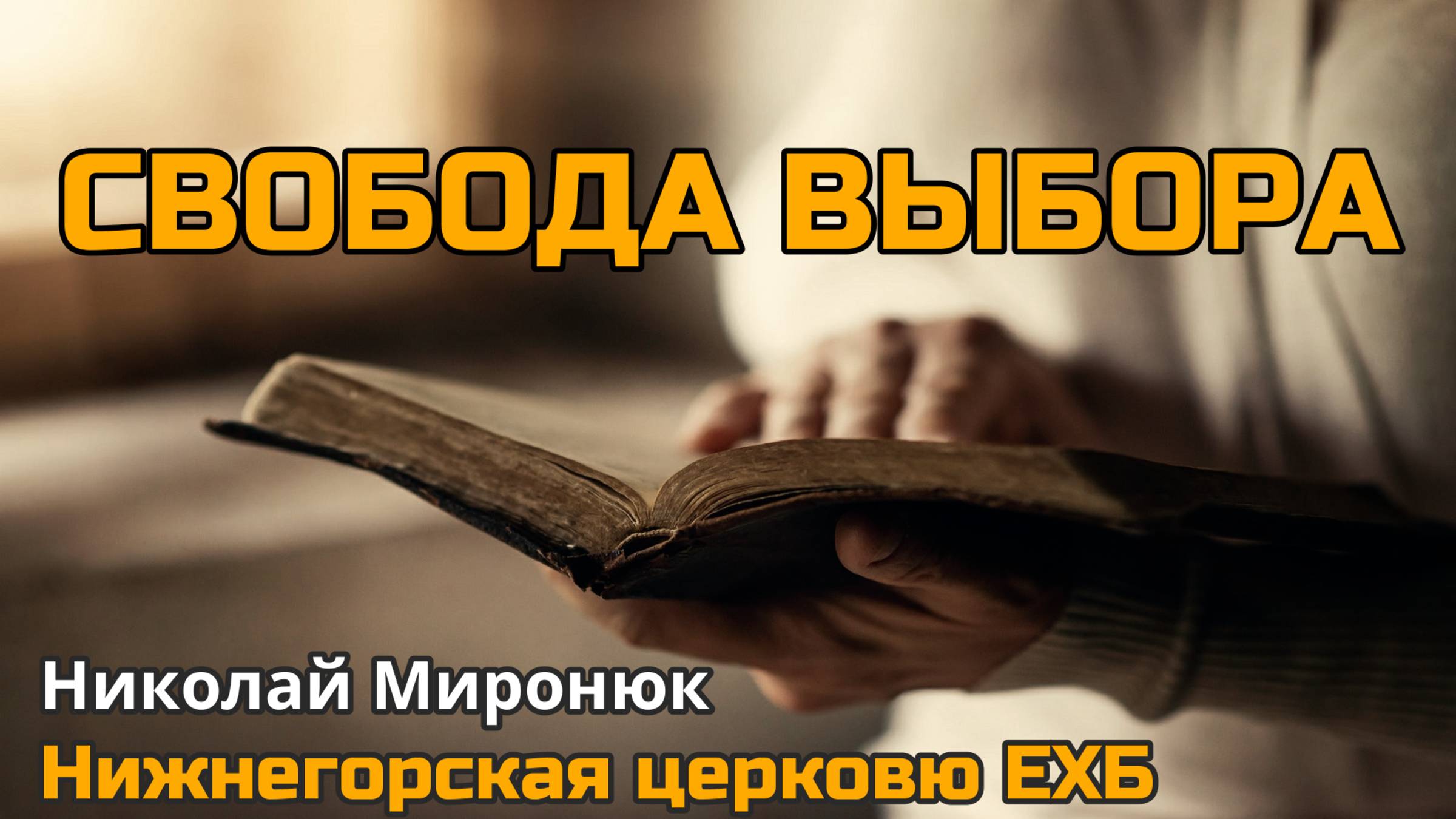 Свобода выбора (Николай Миронюк)