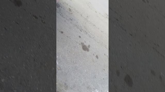 1000023975.mp4