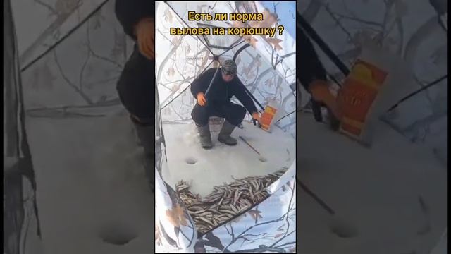 Ловля корюшки