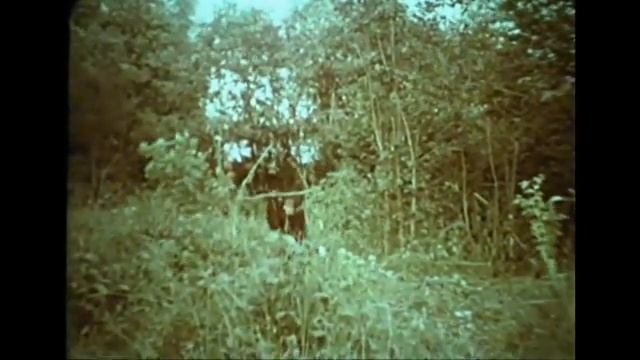 Косматые робинзоны