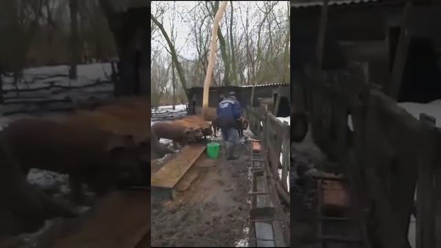 1000007347.mp4