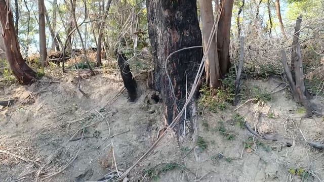 Прогулка из Парнаута к санаторию Смецкого