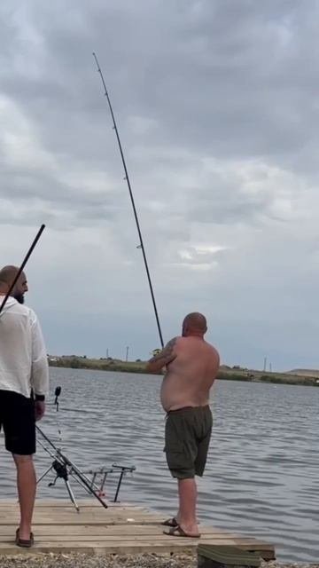 Карповый турнир #shorts #shortvideo #subscribe #подпишись #рыбалка