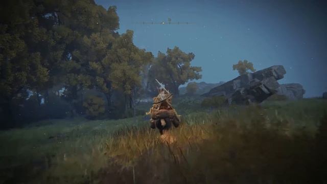 Elden Ring Jump Seek Giant Invisible Turtle in the Air