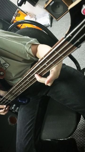 КиШ - Кукла колдуна (cover bass) 🎸🤘😎 #elrock08 #басэлиста #рокэлиста #элиста