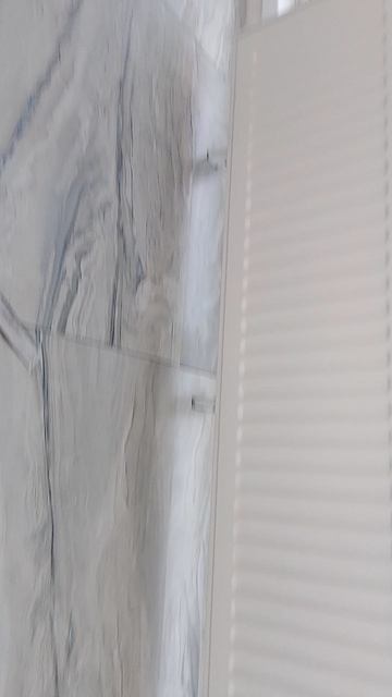 1000000310.mp4