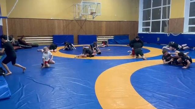 Видео подбор с тренировок 231