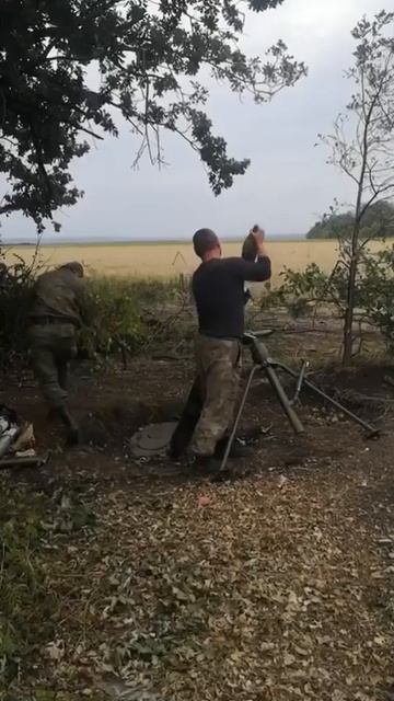 сво