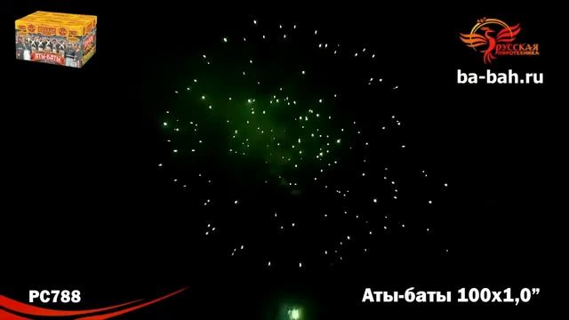 Фейерверк РС788 Аты баты 1 х 100 2
