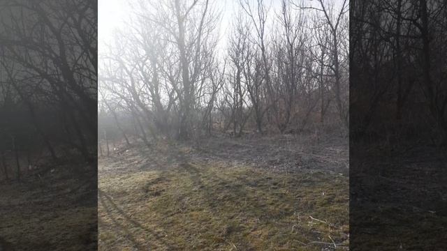 Video.Guru_20250316_175959234