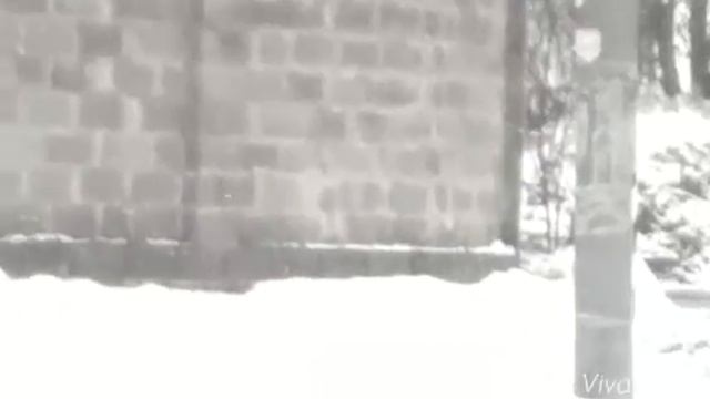 Наш HORSE VLOG !!! (Едем на конюшню) [Часть I.]
