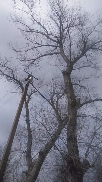 VID_20250305_125821