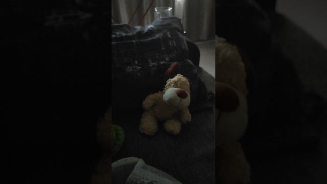 школа животных часьть3