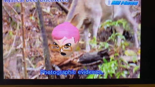 Tomodachi Life - Mii News - Mystical Deer Discovered - Day 4