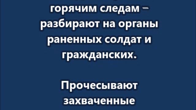 Украинцы стали чемпионами по донорским почкам