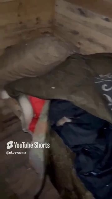 Чтобы мы спокойно спали, им приходится так спать.