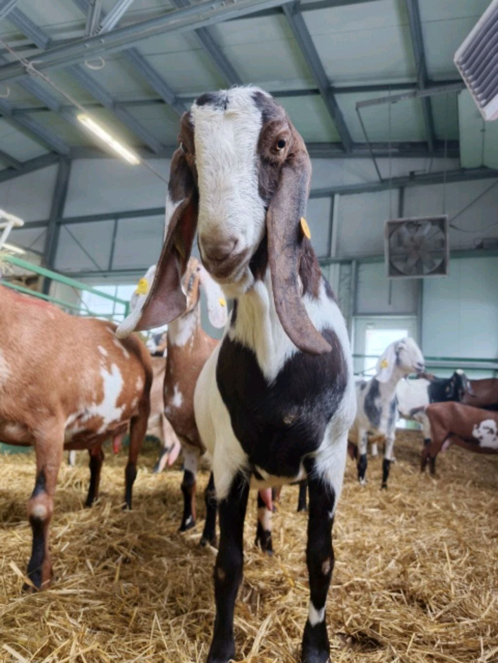 ЕДУ В АВТОБУСЕ НА ЭКСКУРСИЮ ОТВЕЧАЮ НА ВСЕ ВОПРОСЫ 🍦🍦🍦🍦❤️🍦❤️💞