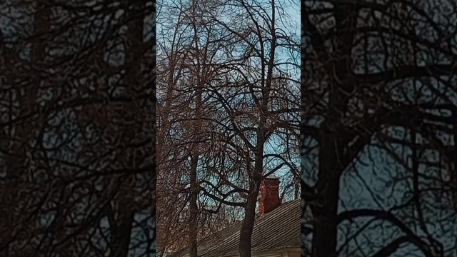ЯРКИЕ ВИТРИНЫ, ПАСТЕЛЬНАЯ МОСКВА, УЛИЧНАЯ МУЗЫКА...❤️