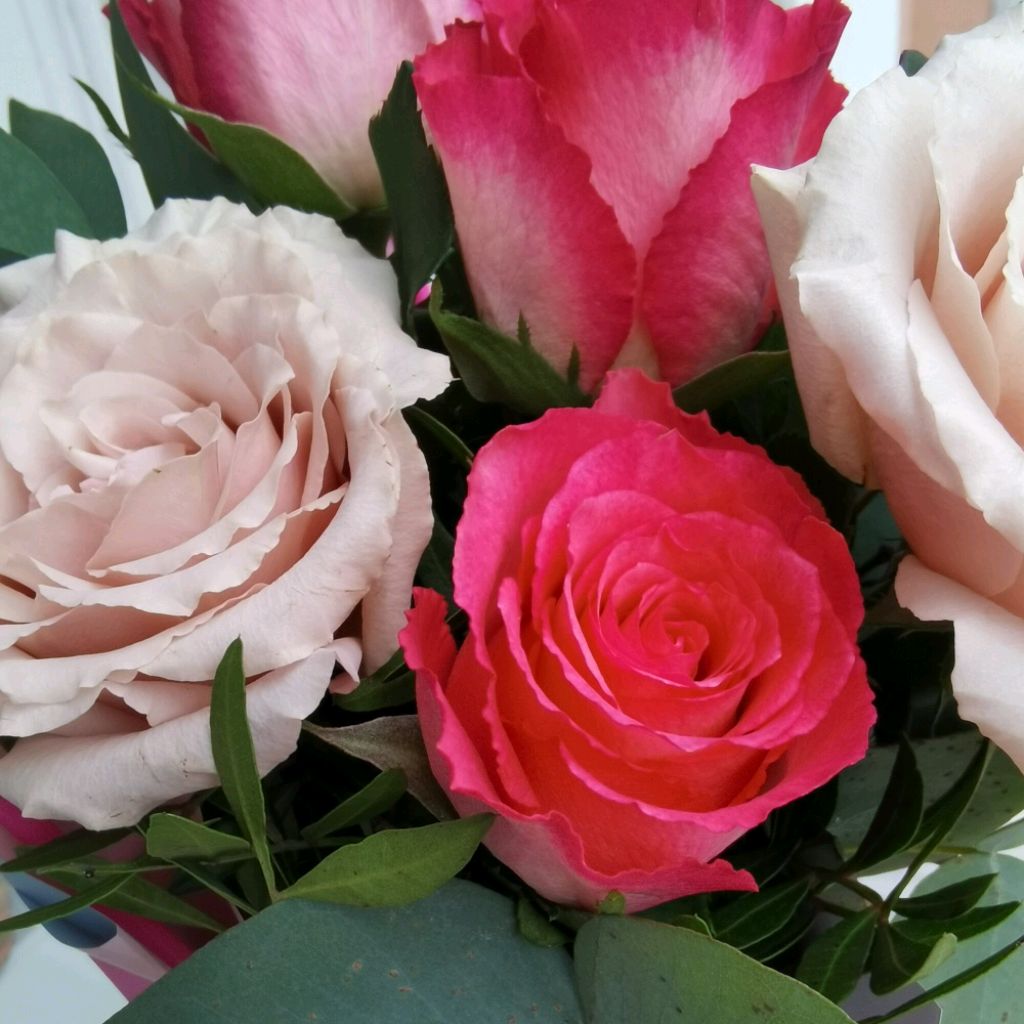 мудрость и наставление