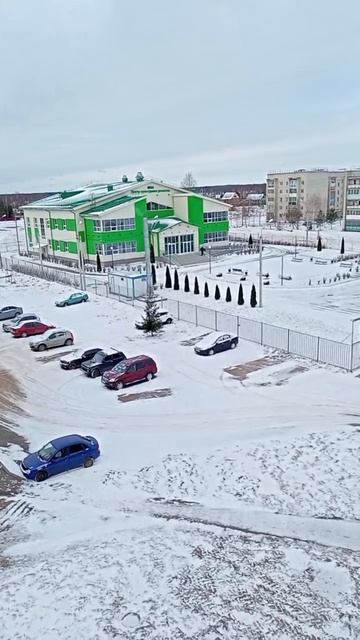 Зима не хочет уходить, вновь выпал снег. 17.03.2025г #winter #зима #природа #хочуврек