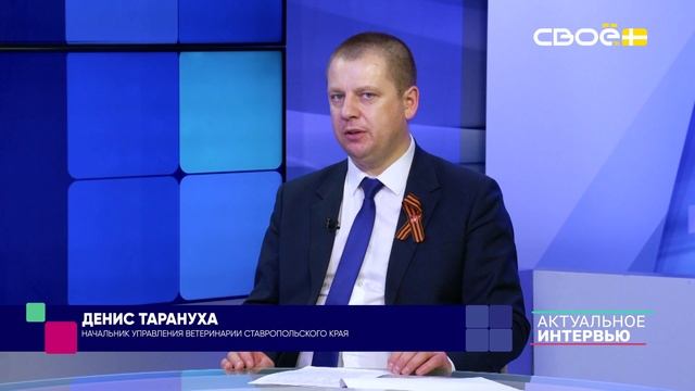 Профилактика, лечение и предупреждение болезней животных на Ставрополье: итоги за 2024 год