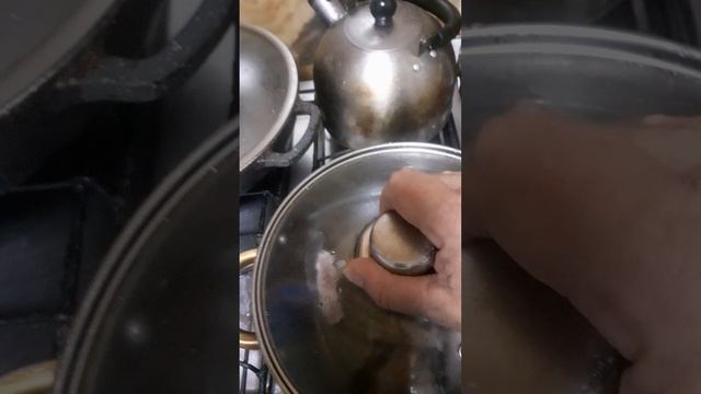 20250317_194847.mp4