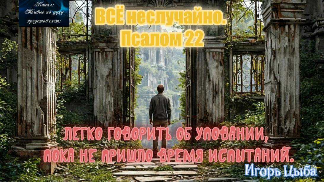 ВСЁ неслучайно.  Псалом 22 Игорь Цыба.