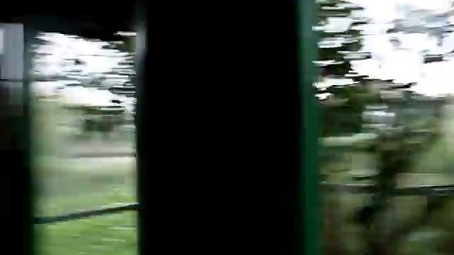 21.07.2013 Гроза в саду