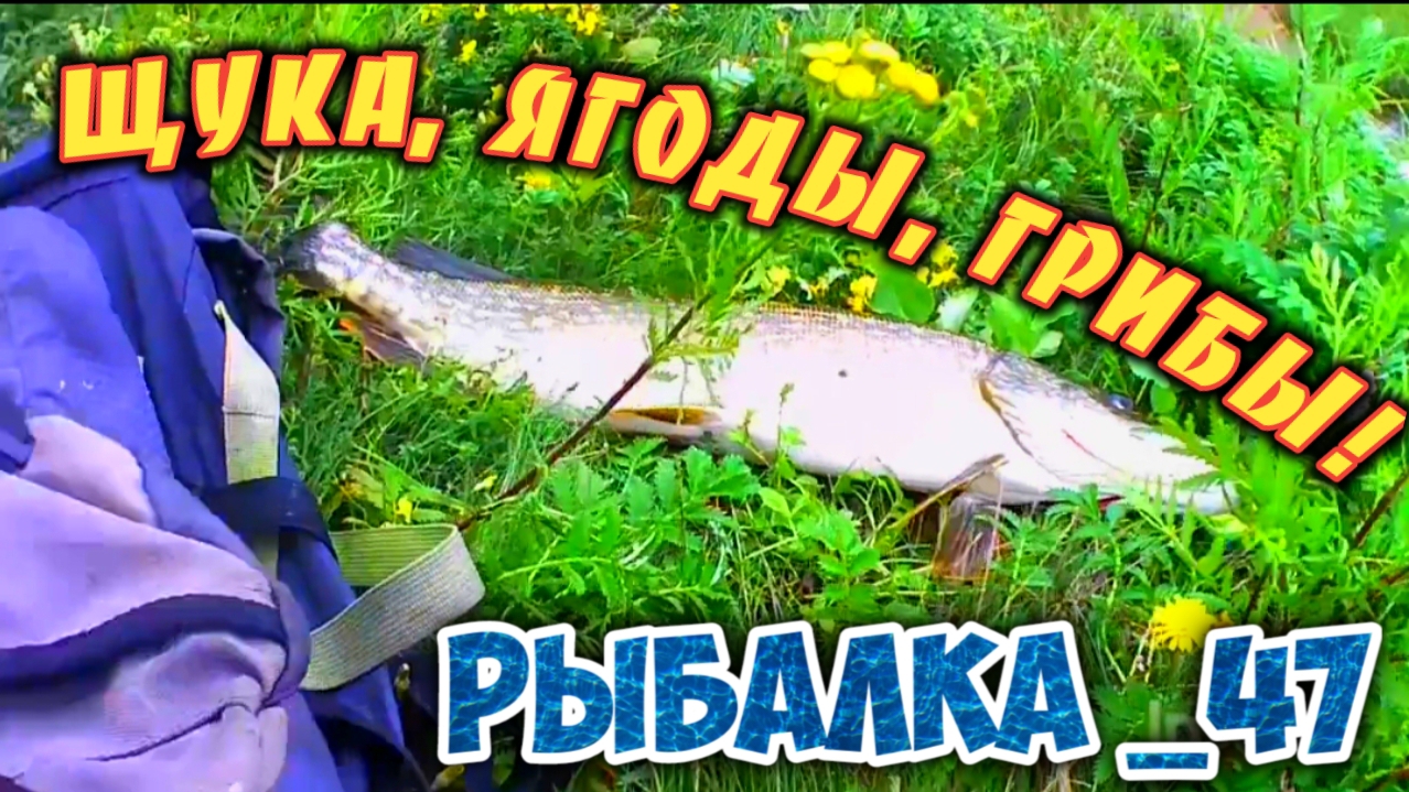 Рыбалка конец лета!
