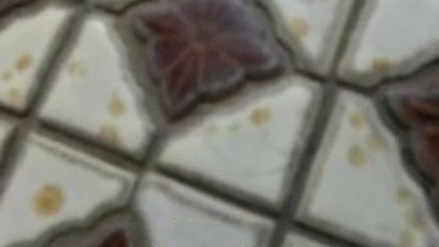 980729螞蟻搬頭髮