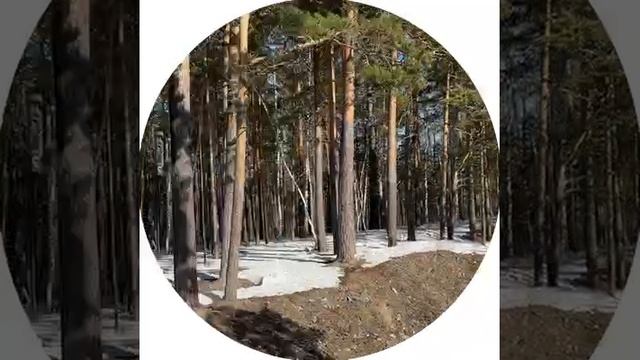 Красноярские походы, подробнее на стене группы