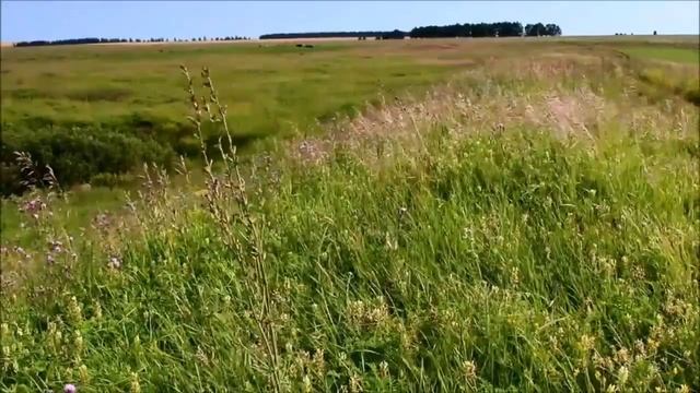 НЕ ДЛЯ МЕНЯ - Кузмин Максим & Сергей