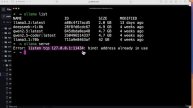 6 -Running Ollama Serve to access LLMs via API